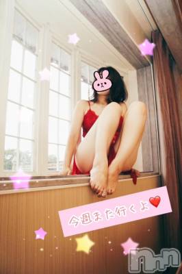 新潟ソープ スチュワーデス ことり(32)の11月24日写メブログ「せっかくの」