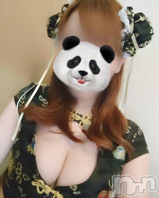 新潟人妻デリヘル 新潟の可憐な妻たち～秘密の逢瀬～(ニイガタノカレンナツマタチ～ヒミツノオウセ～) 美咲 みどり(32)の2月12日写メブログ「チャイナ❤」