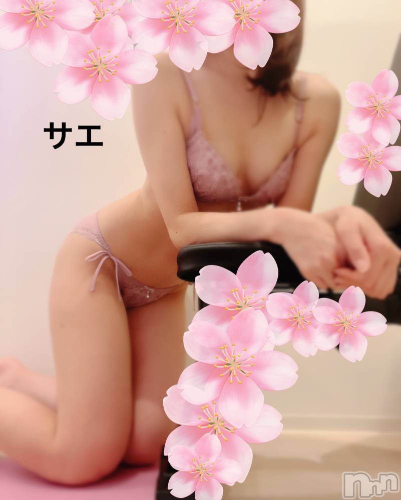 新潟デリヘルENDLESS-安心の地元新潟の素人のみ-(エンドレス) サエ☆えちえちお姉さん(35)の4月9日写メブログ「お花見の後はHotelで♡」