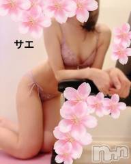 新潟デリヘルENDLESS-安心の地元新潟の素人のみ-(エンドレス) サエ☆えちえちお姉さん(35)の4月9日写メブログ「お花見の後はHotelで♡」