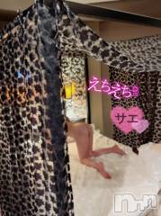 新潟デリヘルENDLESS-安心の地元新潟の素人のみ-(エンドレス) サエ☆えちえちお姉さん(35)の9月28日写メブログ「蚊帳の中でえちえち~♡」