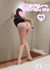 新潟デリヘルENDLESS-安心の地元新潟の素人のみ-(エンドレス) サエ☆えちえちお姉さん(35)の4月6日写メブログ「人気デリ嬢とお花見♡♡」