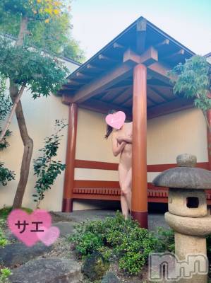 新潟デリヘル ENDLESS-安心の地元新潟の素人のみ-(エンドレス) サエ☆えちえちお姉さん(35)の11月8日写メブログ「庭園付きホテルで青姦、、、♡」