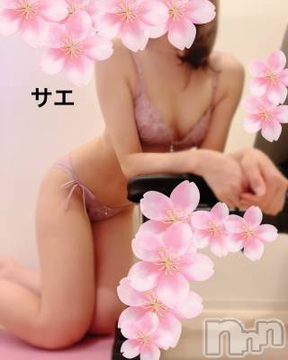 新潟デリヘル ENDLESS-安心の地元新潟の素人のみ-(エンドレス) サエ☆えちえちお姉さん(35)の4月9日写メブログ「お花見の後はHotelで♡」