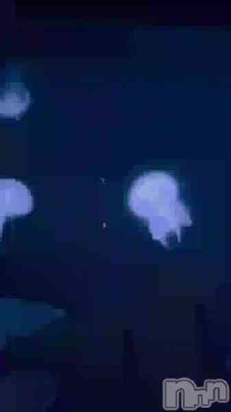サエ☆えちえちお姉さんの動画 海月と一緒に…♡🪼
