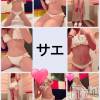 新潟デリヘル ENDLESS-安心の地元新潟の素人のみ-(エンドレス) サエ☆えちえちお姉さん(35)の9月8日写メブログ「ビキニ写真いっぱい♡」