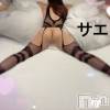 新潟デリヘル ENDLESS-安心の地元新潟の素人のみ-(エンドレス) サエ☆えちえちお姉さん(35)の9月24日写メブログ「ボディストッキング♡」