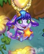 ƲХ顦֥ ץ Ĺ( ץ ʥ) 滳줤831ֿ̥֥٥🌟⋆꙳