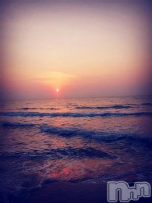 ƲХ顦֥ ץ Ĺ( ץ ʥ) 滳줤1222ֹ̥֥ʤää...