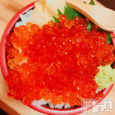 ƲХ顦֥ ץ Ĺ( ץ ʥ) 滳줤67̥֥֤餡