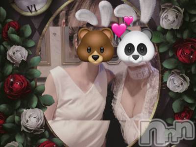 ƲХ顦֥ ץ Ĺ( ץ ʥ) 滳줤731̥֥֤Фϡ