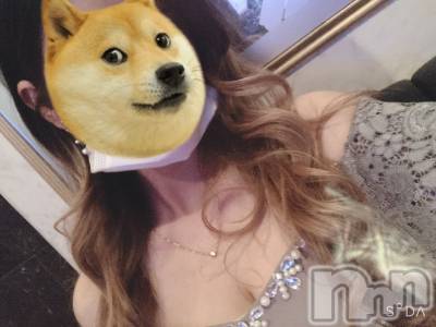 ƲХ顦֥ ץ Ĺ( ץ ʥ) 滳줤129ֺ̥֥🐕