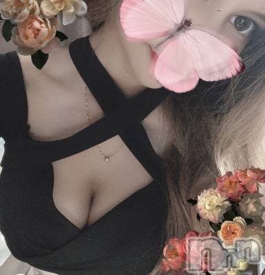 ƲХ顦֥ ץ Ĺ( ץ ʥ) 滳줤126̥֥֤Фϡ