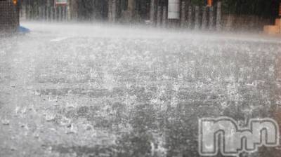 ƲХ顦֥ ץ Ĺ( ץ ʥ) 滳줤824̥֥֤Ф⚡☔⚡