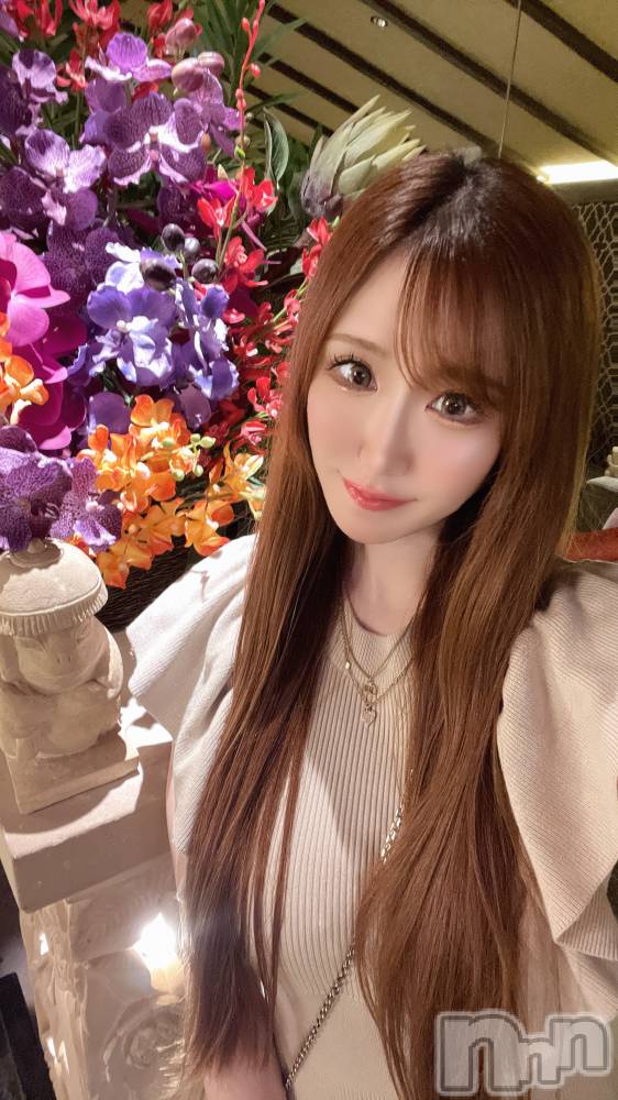 ƲХ顦151-A() ߤ714̥֥ʤ💐