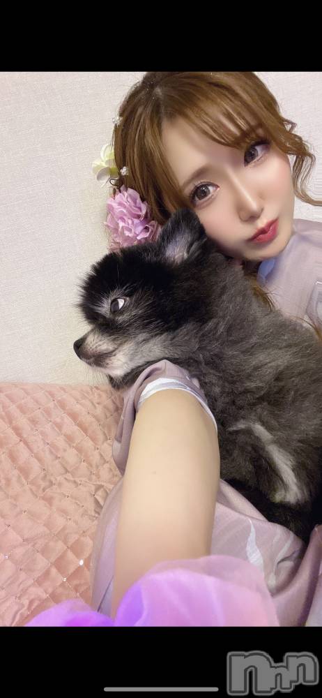 ƲХ顦151-A() ߤ810̥֥֥쥪🐶🐾