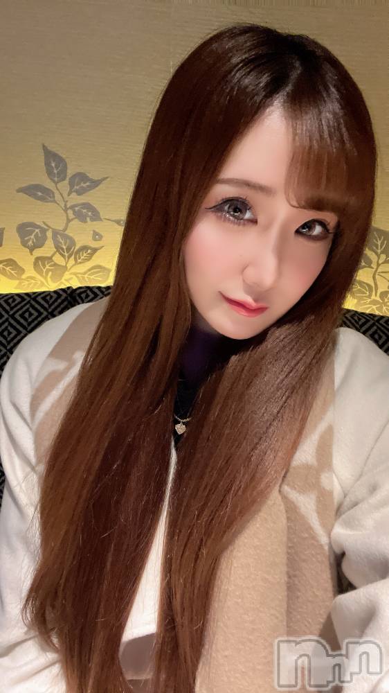 ƲХ顦151-A() ߤ228ֽ̥֥жС