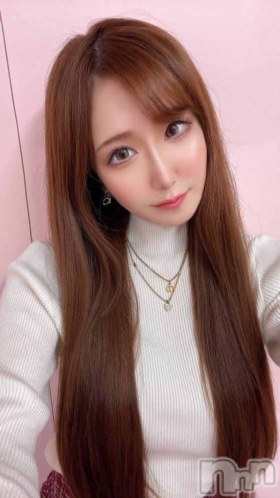 ƲХ顦151-A() ߤ52̥֥GW