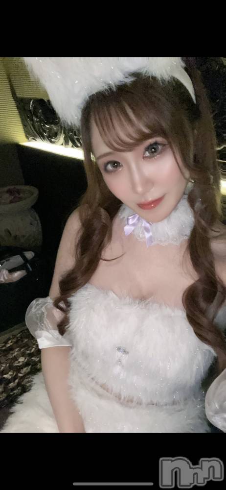 ƲХ顦151-A() ߤ114̥֥֤