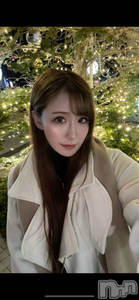 ƲХ顦151-A() ߤ121̥֥🎄*⋆