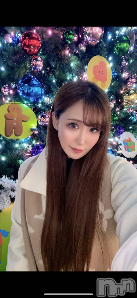 ƲХ顦151-A() ߤ126̥֥🎄*⋆