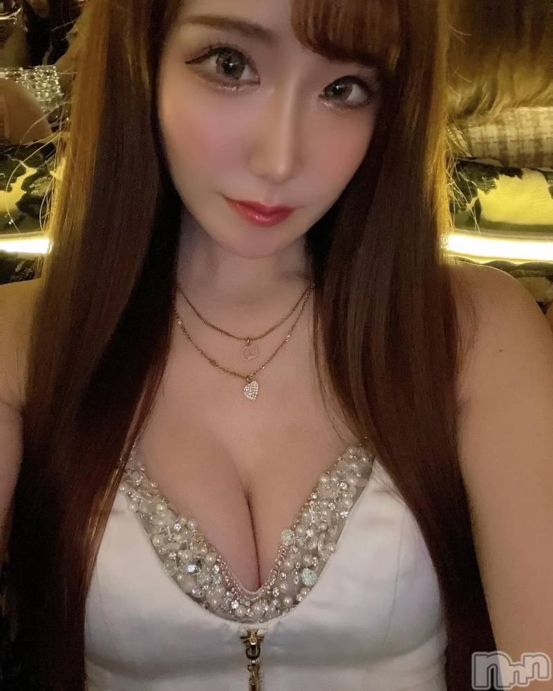 ƲХ顦151-A() ߤ1120̥֥1120 2024ʬμ̥֥