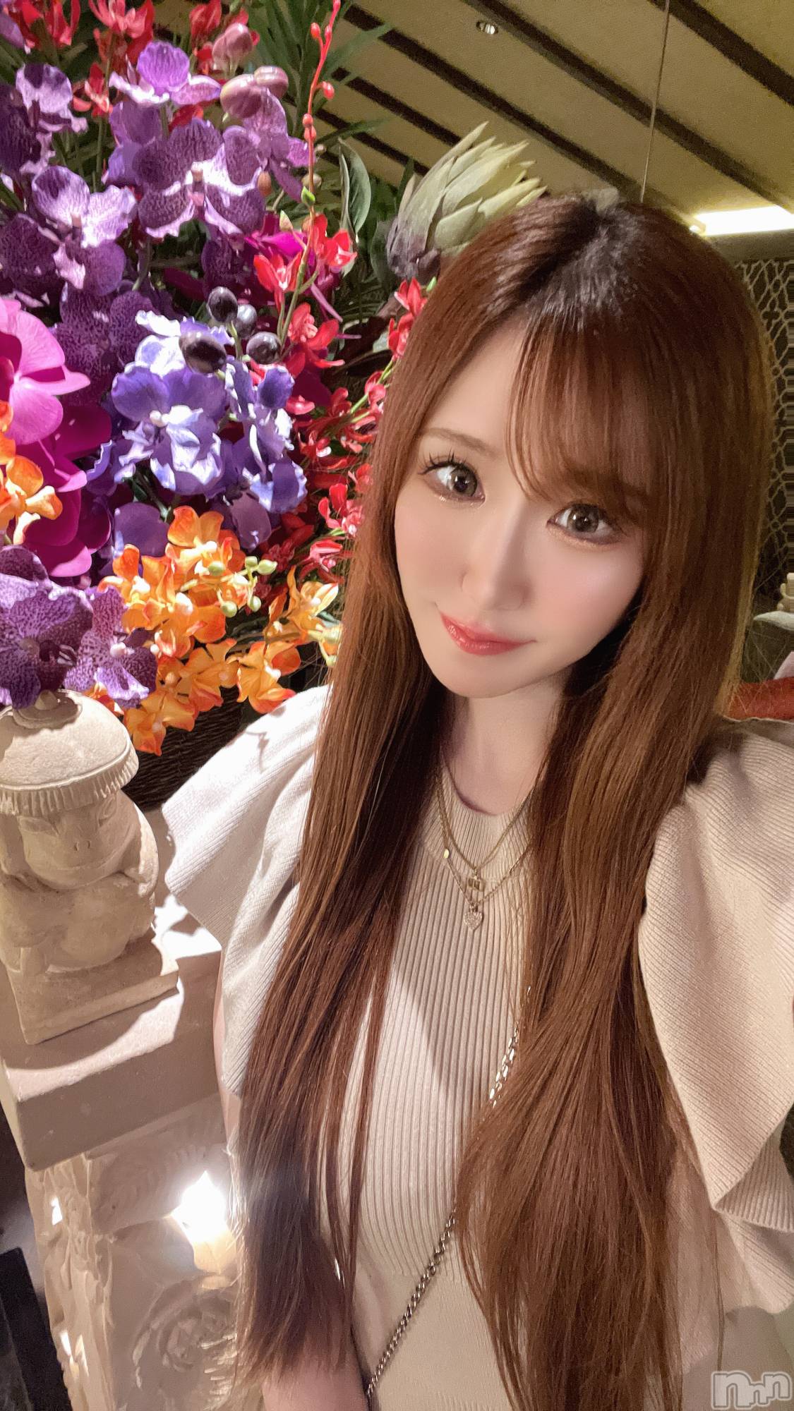 ƲХ顦151-A() 2024ǯ714̥֥ʤ💐