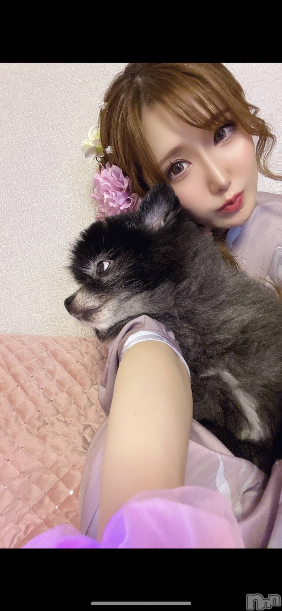 ƲХ顦151-A() 2024ǯ810̥֥֥쥪🐶🐾