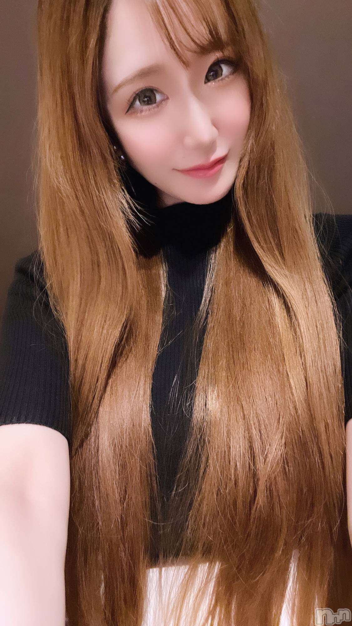 ƲХ顦151-A() 2024ǯ91̥֥🥰