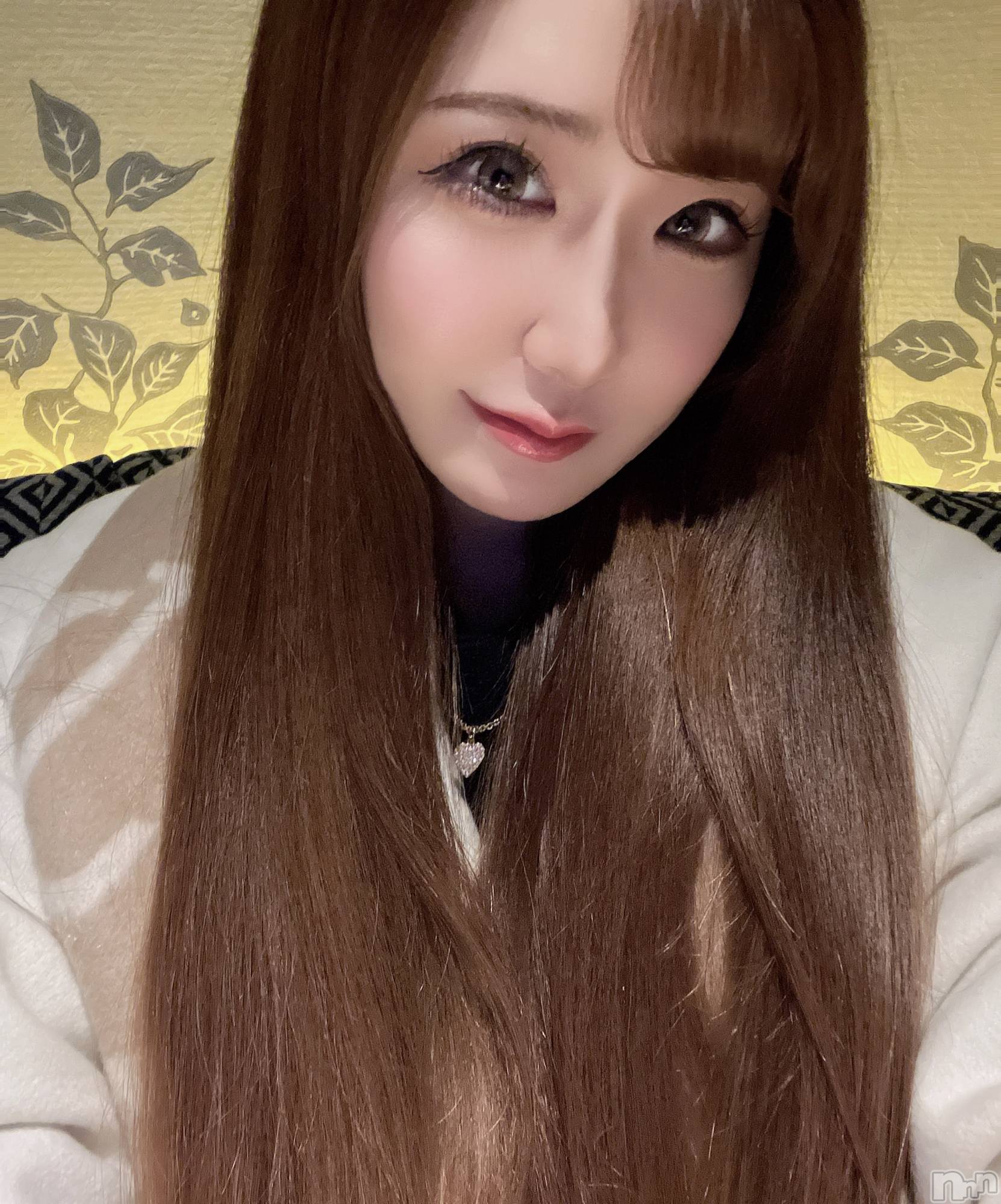 ƲХ顦151-A() 2025ǯ225̥֥28❣️