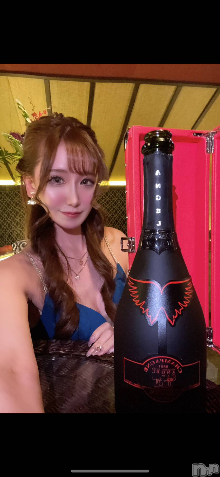 ƲХ顦151-A() 2025ǯ329̥֥RED❤️