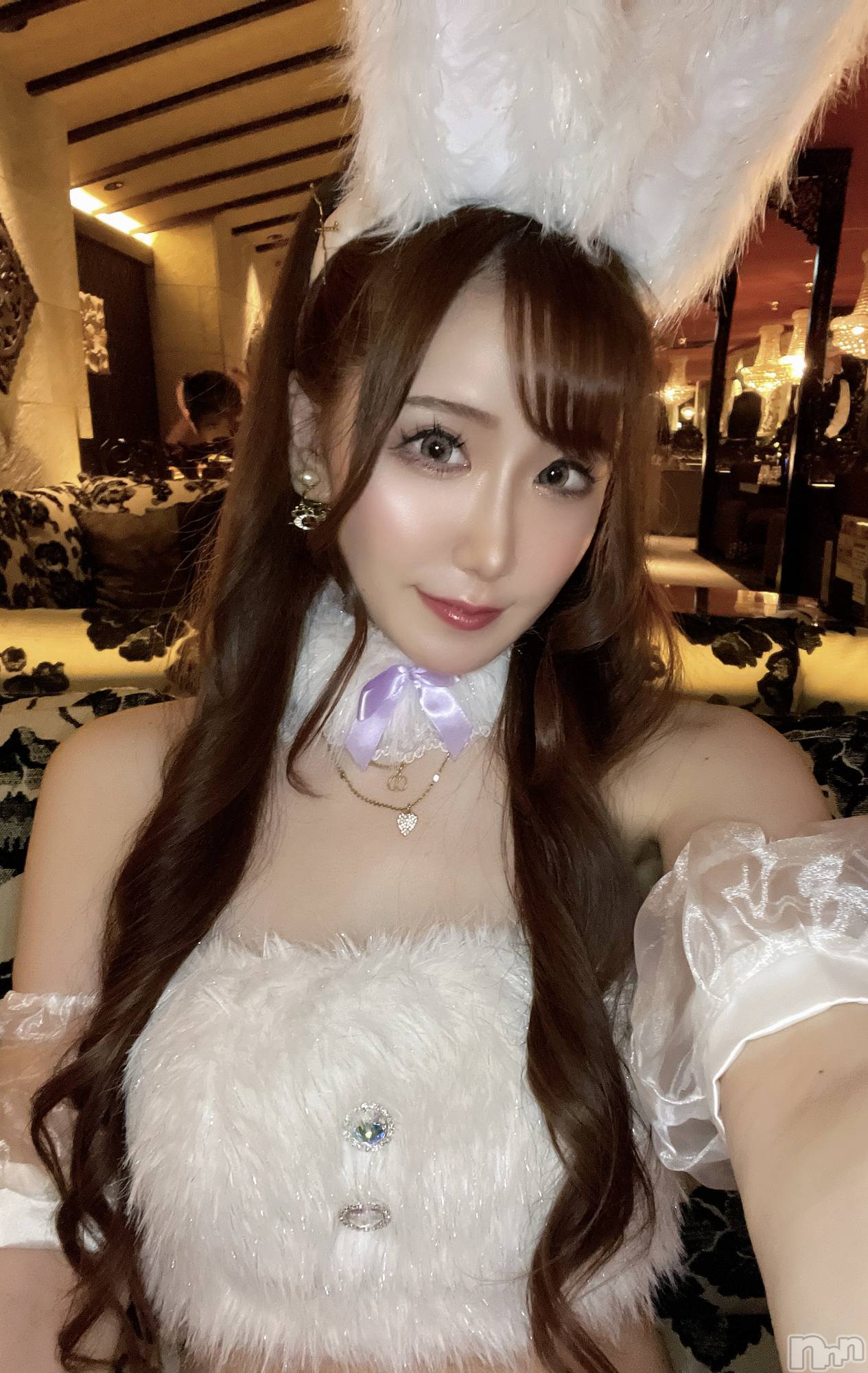 ƲХ顦151-A() 2025ǯ521̥֥֤