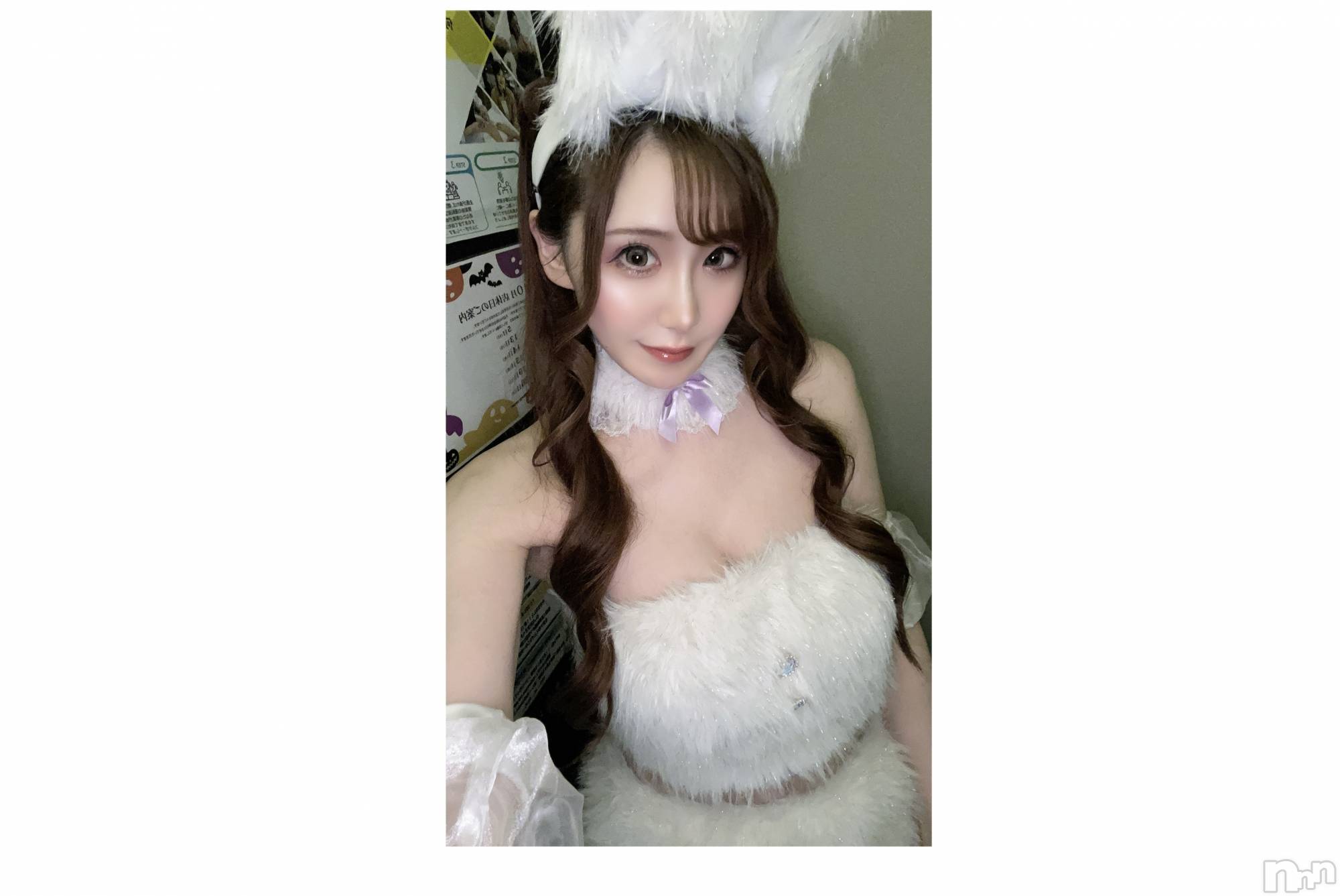 ƲХ顦151-A() 2025ǯ111̥֥֥ϥ󥤥٥🎃