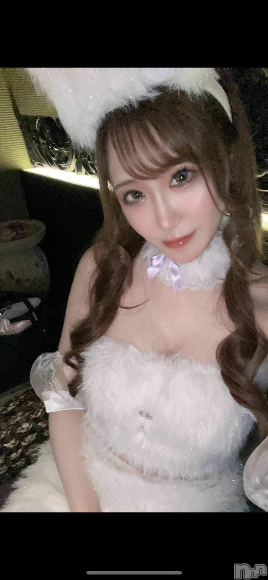 ƲХ顦151-A() 2025ǯ114̥֥֤