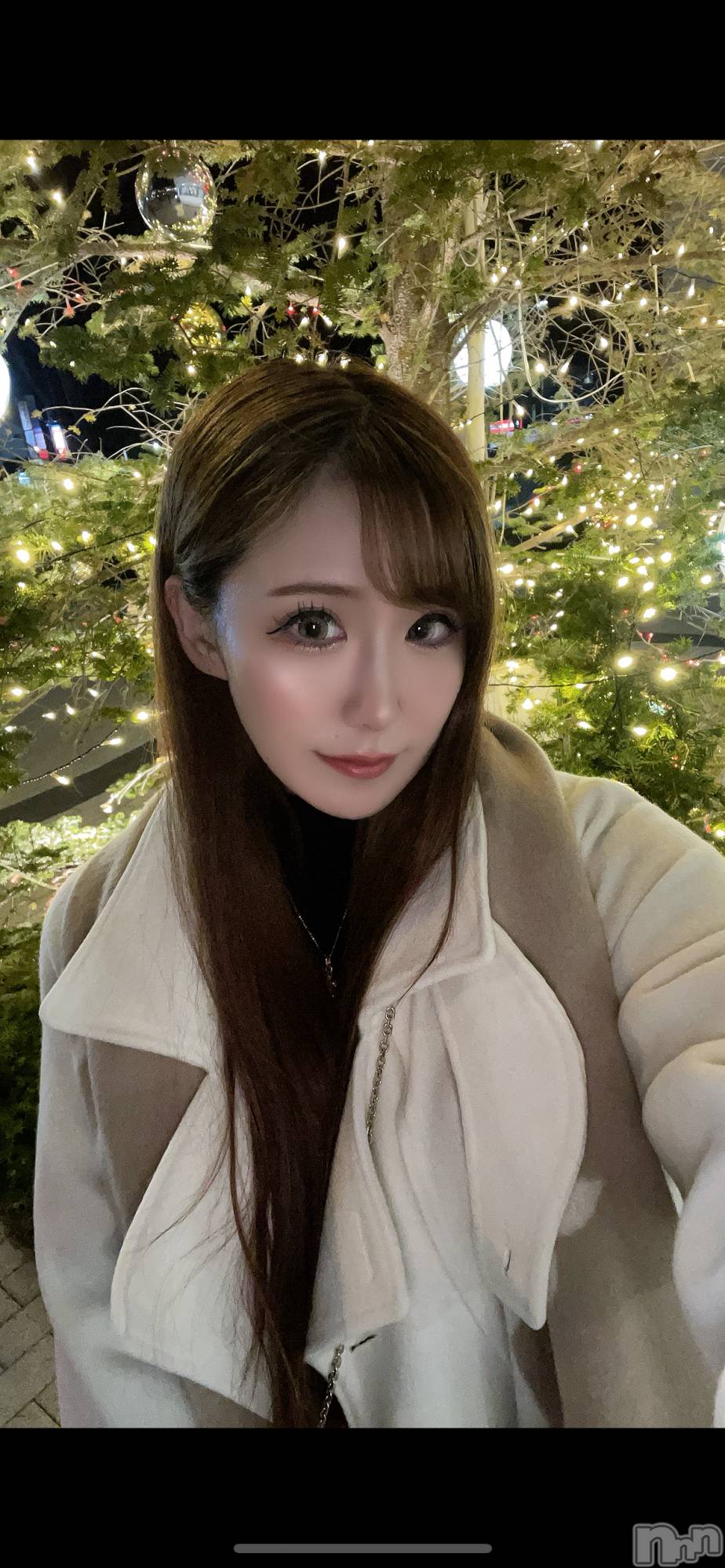 ƲХ顦151-A() 2025ǯ121̥֥🎄*⋆