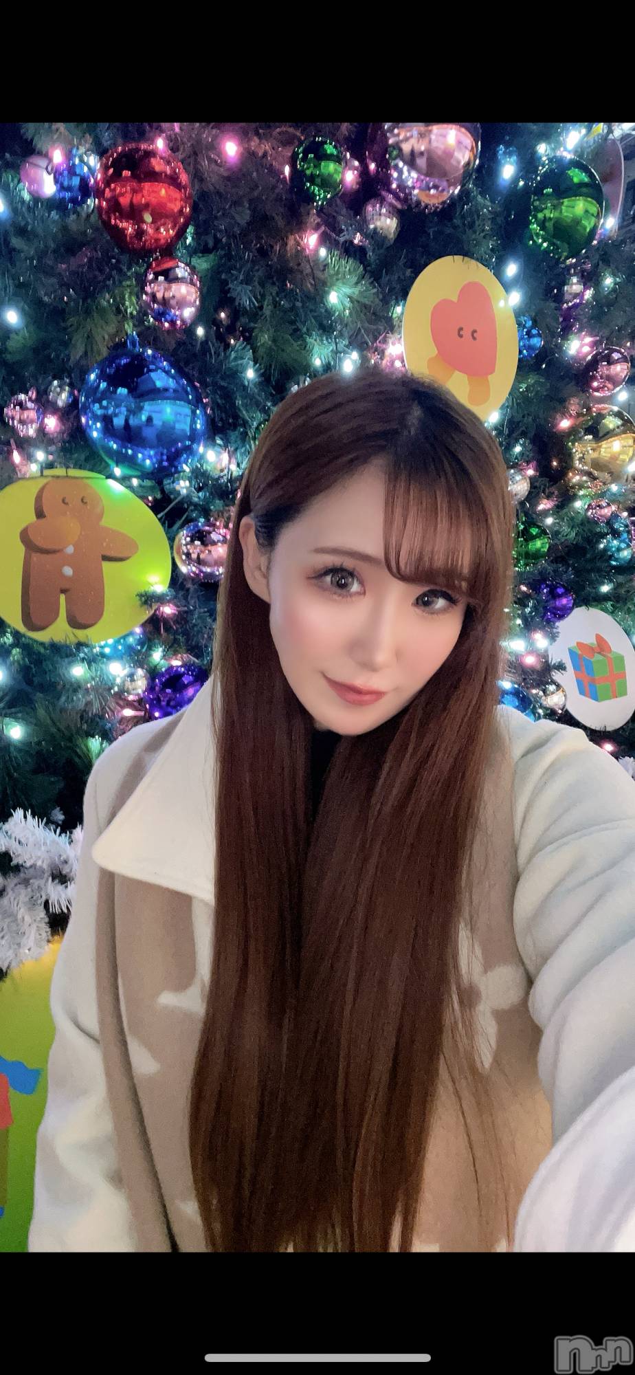 ƲХ顦151-A() 2025ǯ126̥֥🎄*⋆