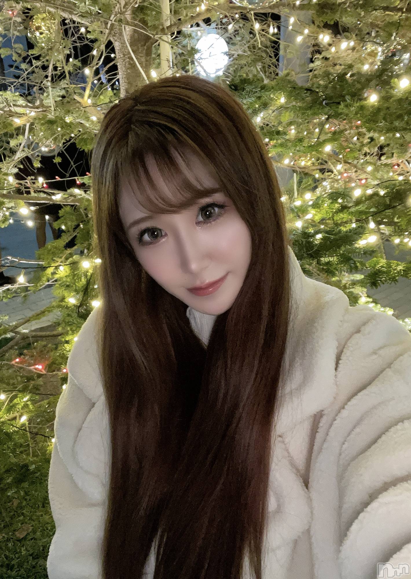 ��Ʋ����Х��顦�����151-A(������������) ��2025ǯ12��20���̥�֥����֤⡼������