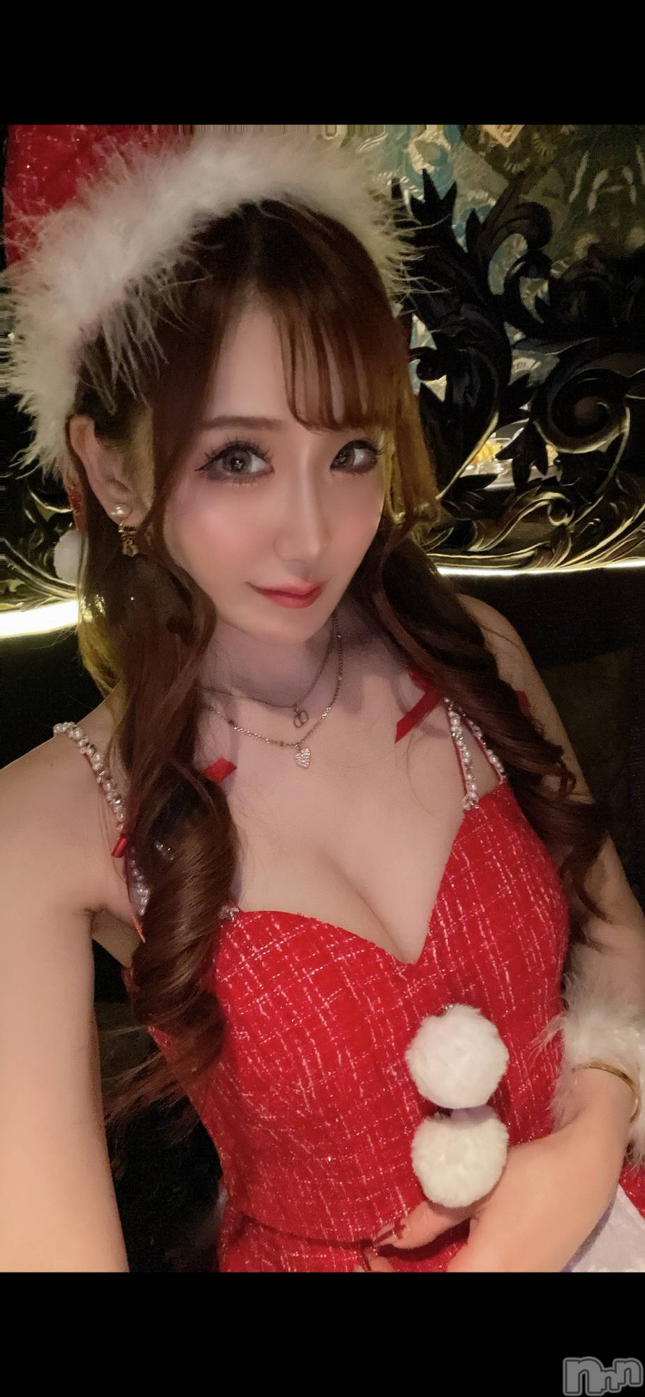 ��Ʋ����Х��顦�����151-A(������������) ��2025ǯ12��24���̥�֥����֥�ꥯ���