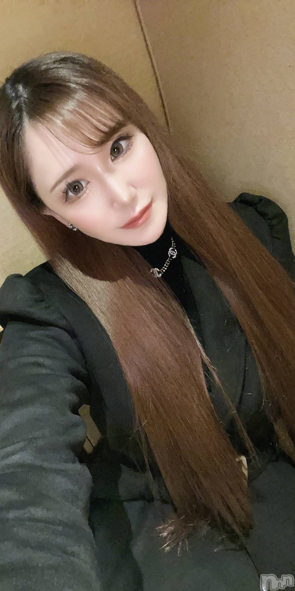 ��Ʋ����Х��顦�����151-A(������������) ��2026ǯ3��29���̥�֥���������������