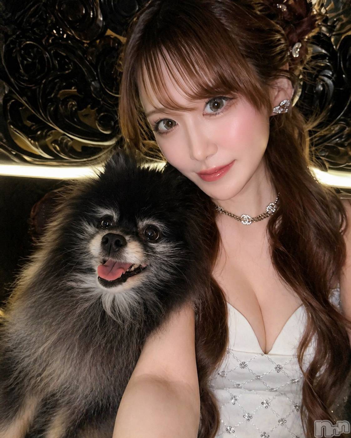 ��Ʋ����Х��顦�����151-A(������������) ��2026ǯ4��28���̥�֥����֥���������� 🐶🐾��