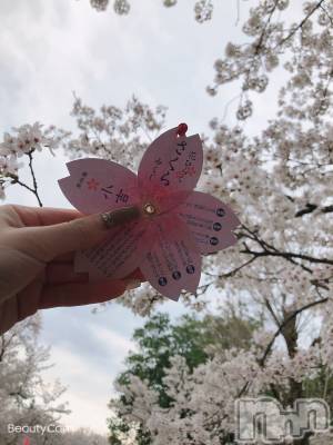 ƲХ顦151-A() ߤ45̥֥🌸ߤ