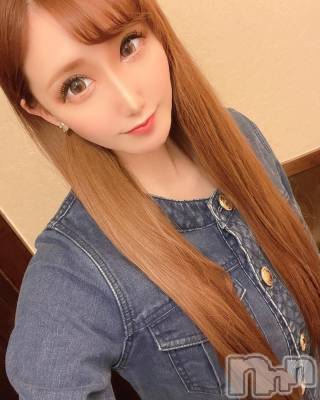 ƲХ顦151-A() ߤ52̥֥GW🌼