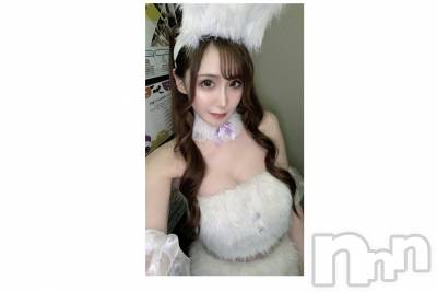 ƲХ顦151-A() ߤ111̥֥֥ϥ󥤥٥🎃