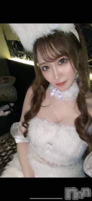 ƲХ顦151-A() ߤ114̥֥֤