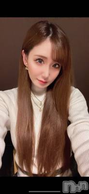 ƲХ顦151-A() ߤ117̥֥֤