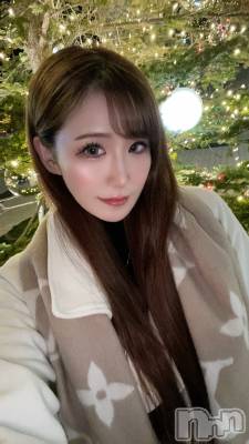 ƲХ顦151-A() ߤ1129̥֥֥ꥹޥࡼ🎄