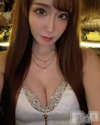 ƲХ顦151-A() ߤ1120̥֥1120 2024ʬμ̥֥