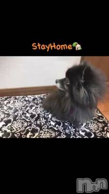  🏡