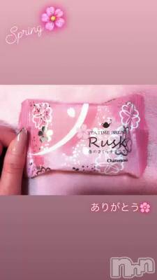 🌸CHERRY BLOSSOMS🌸