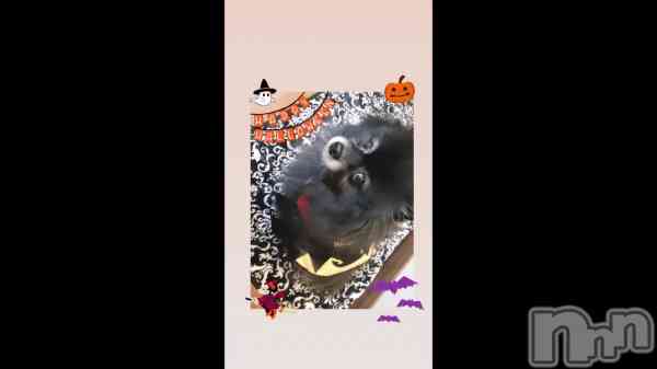 Halloween&#x1F383;ץ&#x1F436;С
